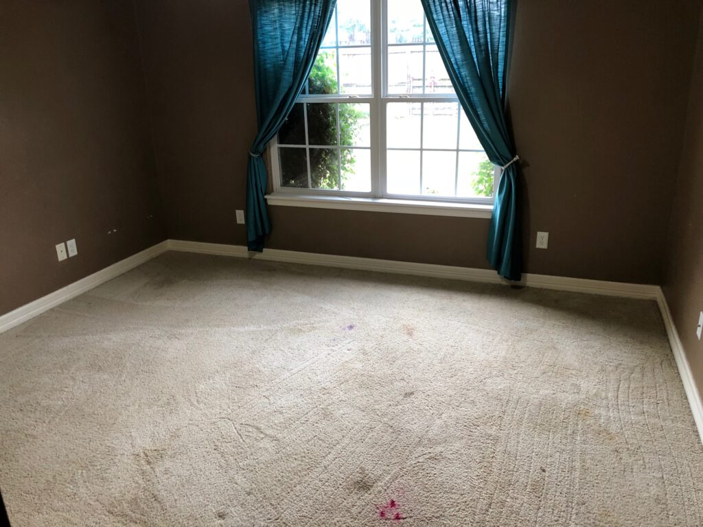 Estate Clean Out carpet cleaning