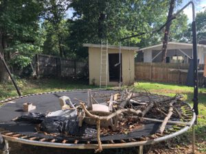 Shed Demolition Estate Cleanout